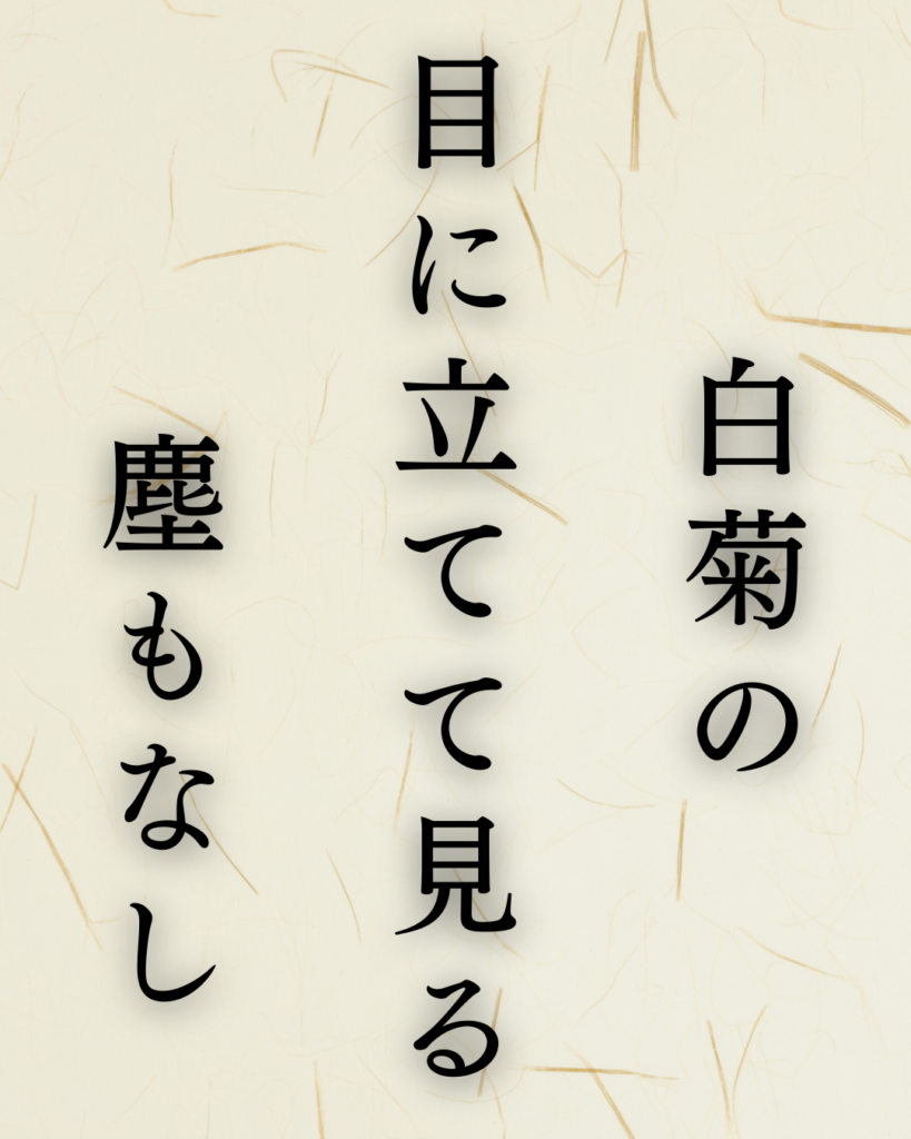 松尾芭蕉作「蓑白菊の　目に立てて見る　塵もなし」この俳句のイラスト