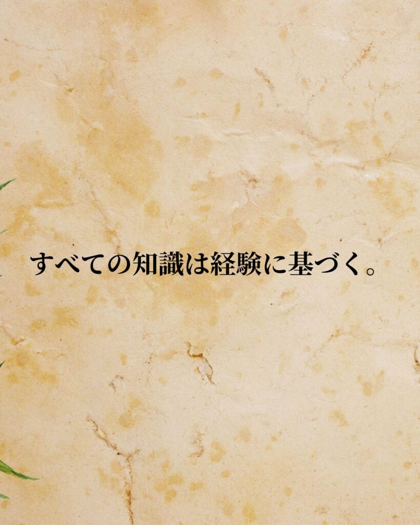 イマヌエル・カント「すべての知識は経験に基づく。」この名言のイラスト