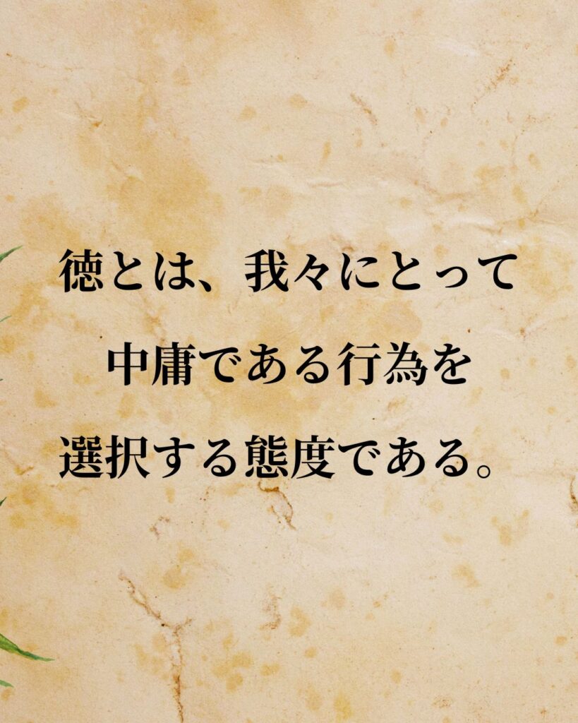 アリストテレス「徳とは、我々にとって中庸である行為を選択する態度である。」この名言のイラスト