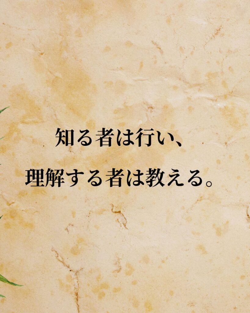 アリストテレス「知る者は行い、理解する者は教える。」この名言のイラスト