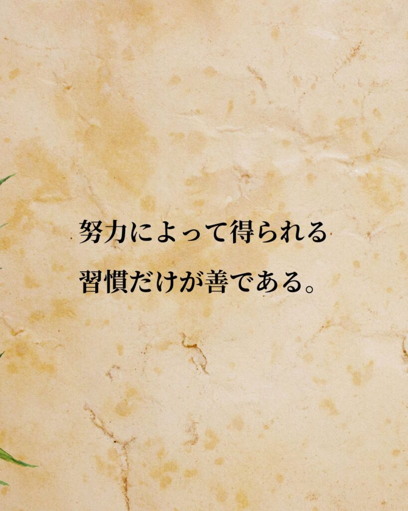 イマヌエル・カント「努力によって得られる習慣だけが善である。」この名言のイラスト