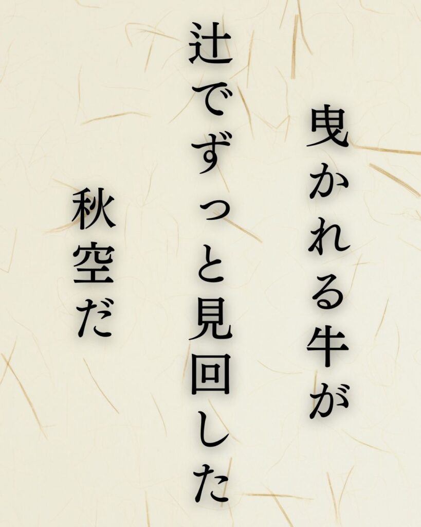 河東碧梧桐作「曳かれる牛が　辻でずっと見回した　秋空だ」この俳句のイラスト