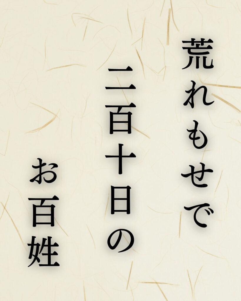 高浜虚子が詠んだ秋の名句5選|季語で味わう秋の情景「荒れもせで 二百十日の お百姓」高浜虚子の俳句のテキストイラスト