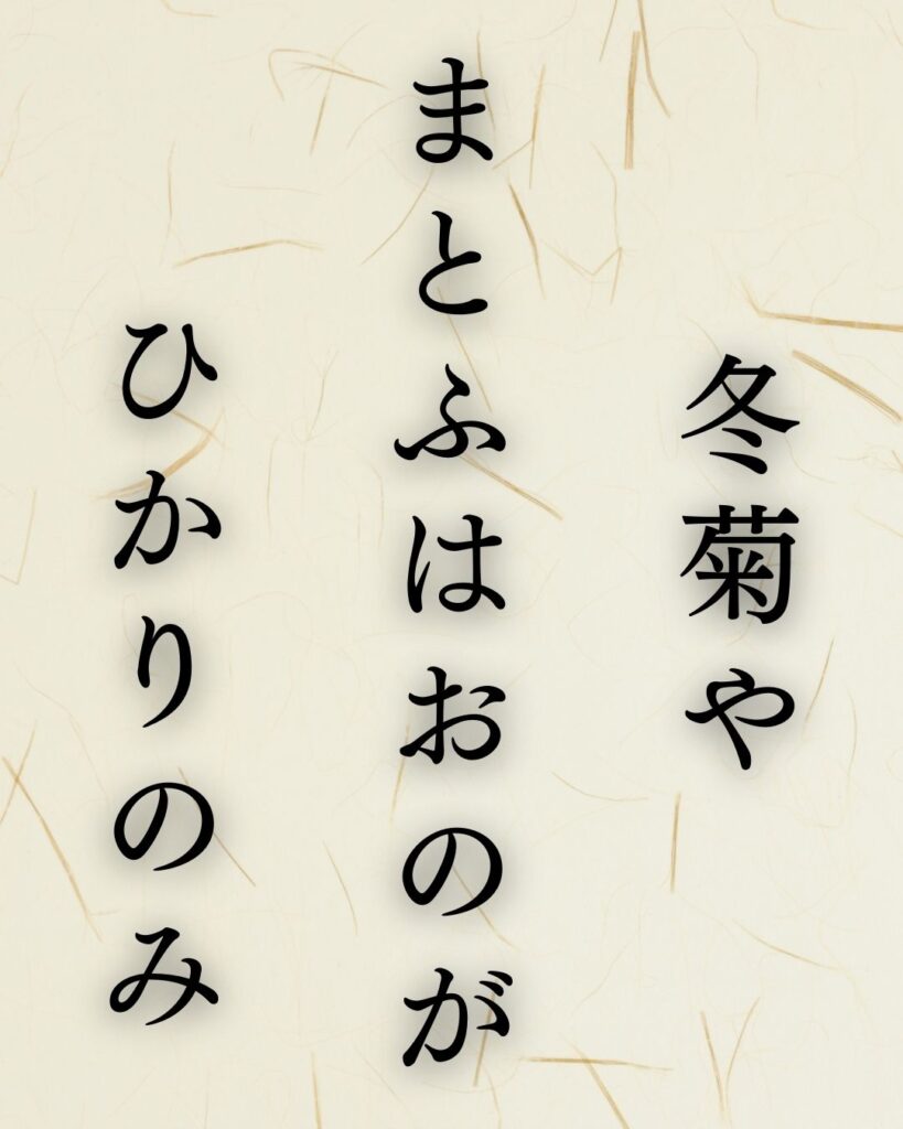 イラストでシンプルに楽しむ「水原秋桜子」の「冬」の俳句「冬菊や　まとふはおのが　ひかりのみ」この俳句を記載した画像