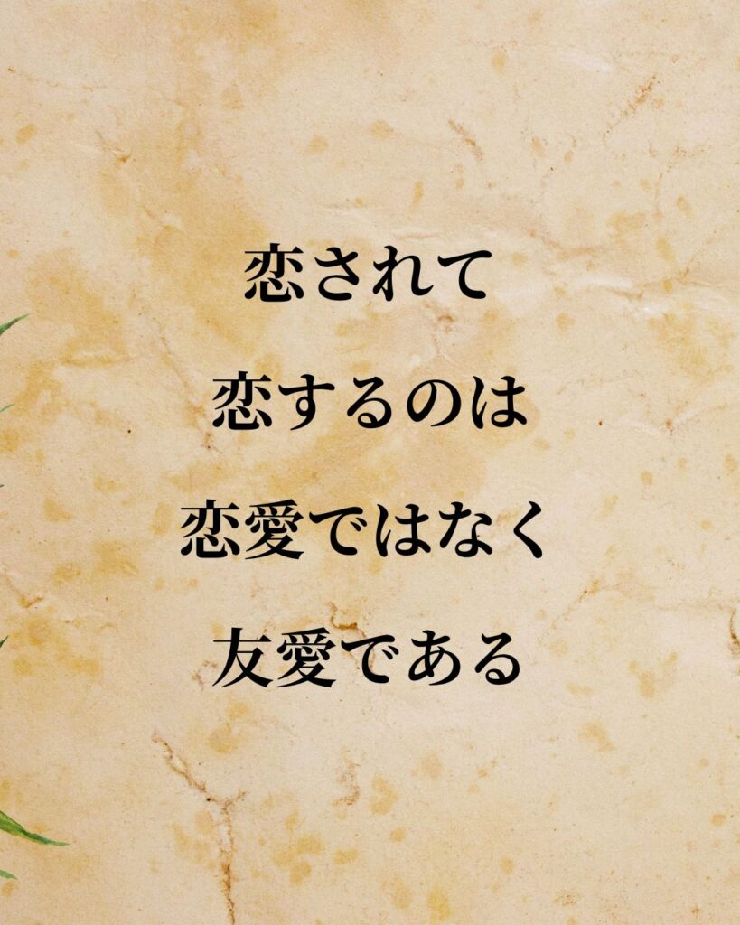 プラトン「恋されて恋するのは、恋愛ではなく友愛である。」この名言のイラスト