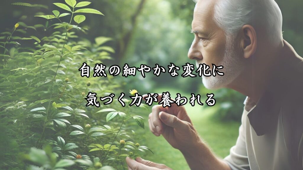 感性が磨かれ、毎日が新鮮に！シニア向け趣味の俳句5つの魅力「自然の細やかな変化に気づく力が養われる」に適した画像