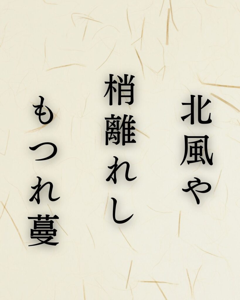 イラストでシンプルに楽しむ「水原秋桜子」の「冬」の俳句「北風や　梢離れし　もつれ蔓」この俳句を記載した画像