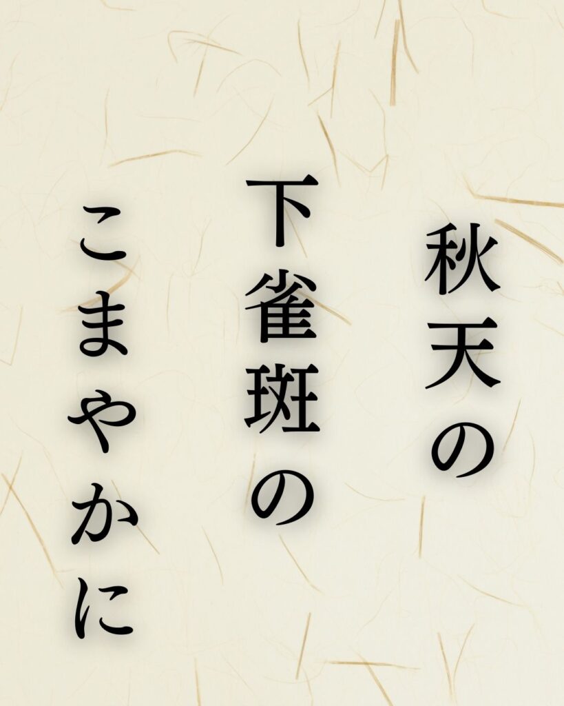 山口誓子作「秋天の　下雀斑の　こまやかに」この俳句のイラスト