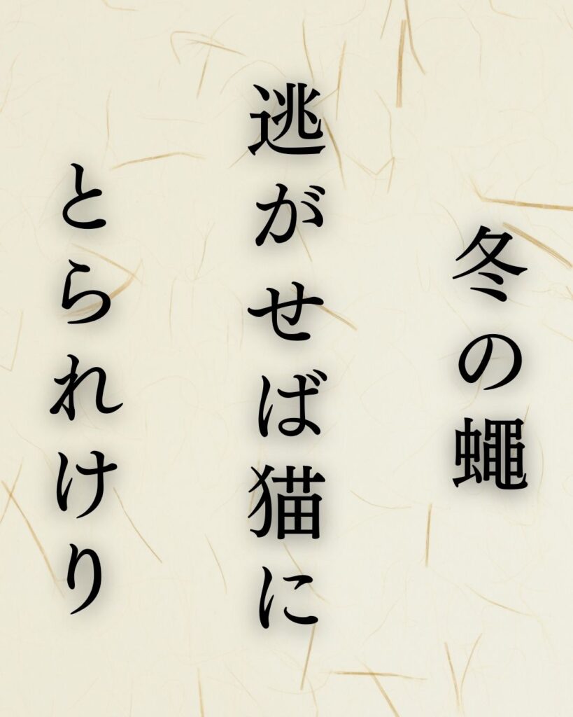 小林一茶作「冬の蠅　逃がせば猫に　とられけり」この俳句のイラスト