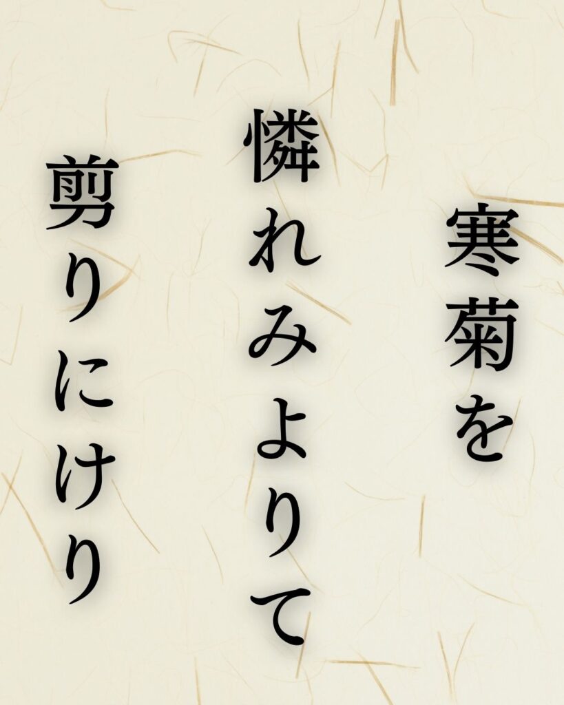 イラストでシンプルに楽しむ「高浜虚子」の「冬」の俳句「寒菊を　憐れみよりて　剪りにけり」この俳句を記載した画像