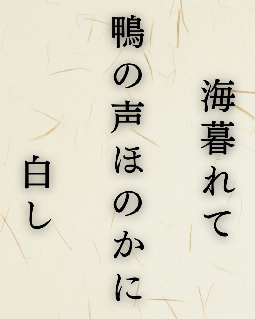 松尾芭蕉作「海暮れて　鴨の声ほのかに　白し」この俳句のイラスト