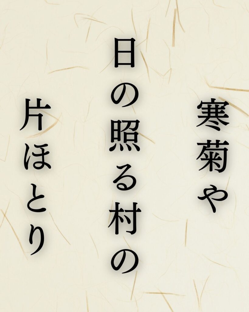 与謝蕪村作「寒菊や　日の照る村の　片ほとり」この俳句のイラスト