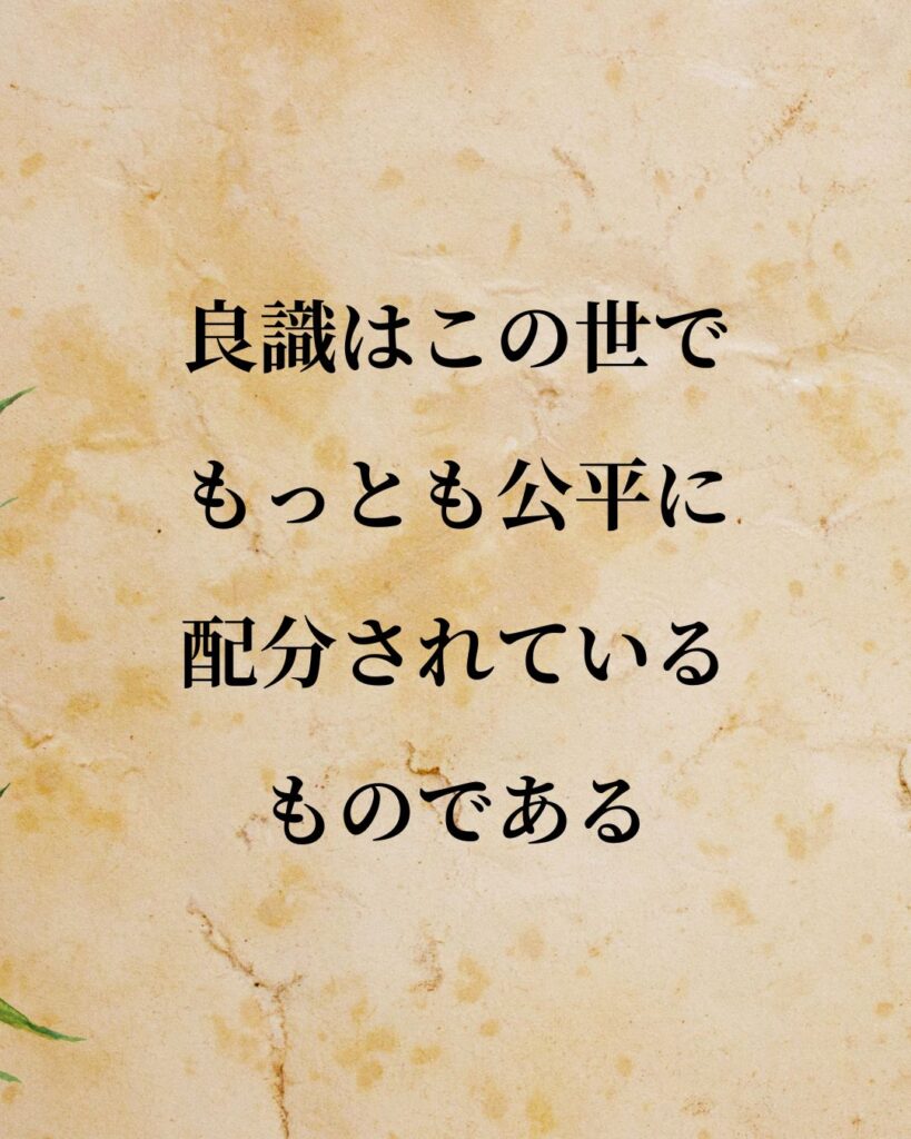 シンプルに役立つ「ルネ・デカルト」の名言９選「良識はこの世でもっとも公平に配分されているものである。」この名言のイラスト