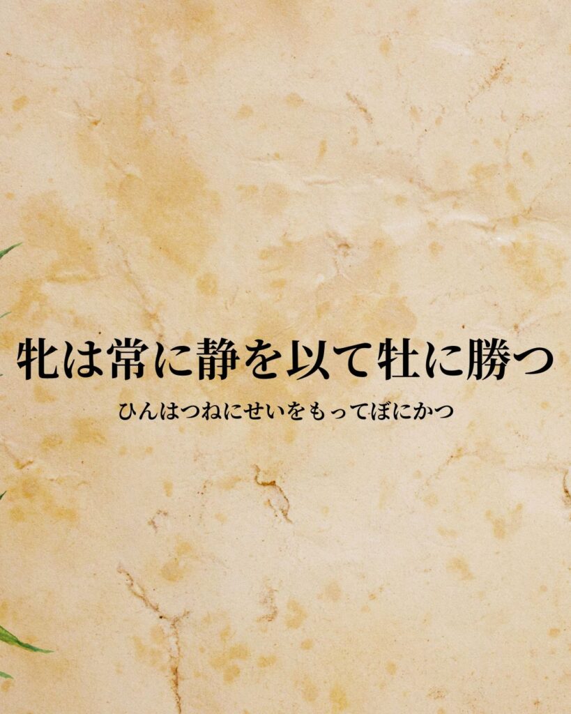 シンプルに役立つ「老子」の名言９選「牝は常に静を以て牡に勝つ」この名言のイラスト