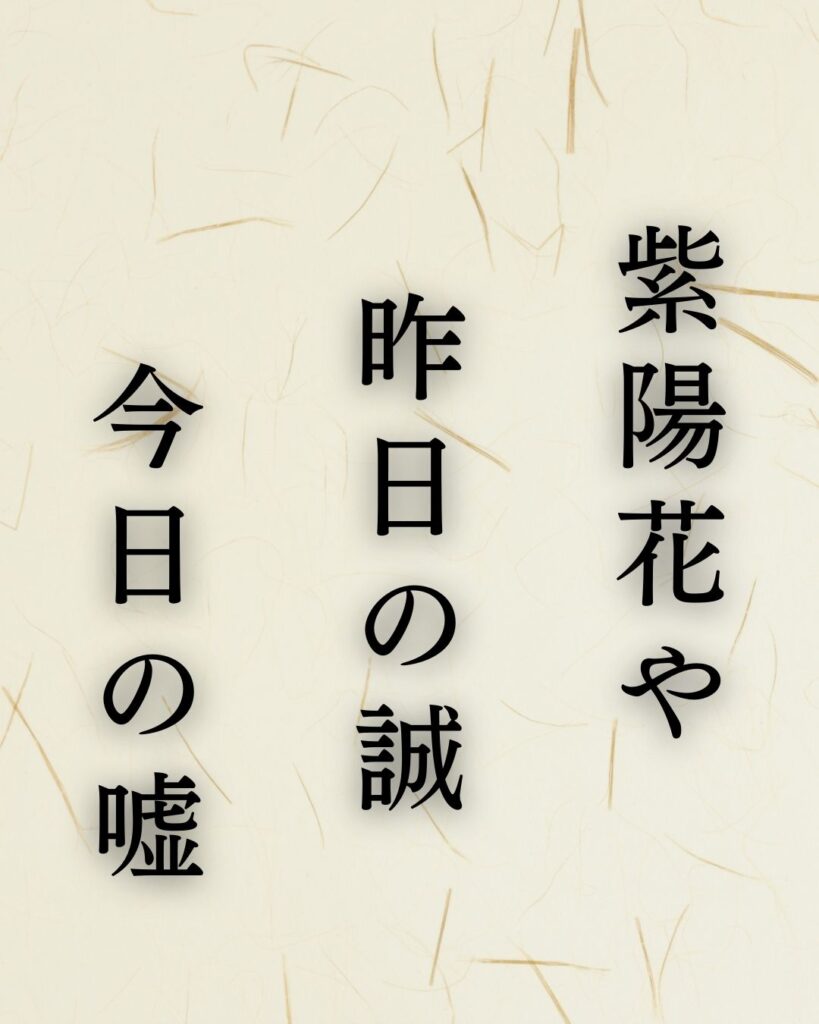 正岡子規の名句「柿食えば」に迫る！代表作や人物像を徹底解説！「紫陽花や　昨日の誠　今日の嘘」正岡子規の俳句を記載した画像