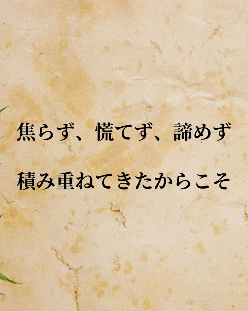 日常生活に活かせる『日本人アスリート』の名言9選「高梨沙羅」「焦らず、慌てず、諦めず。積み重ねてきたからこそ」この名言を記載した画像