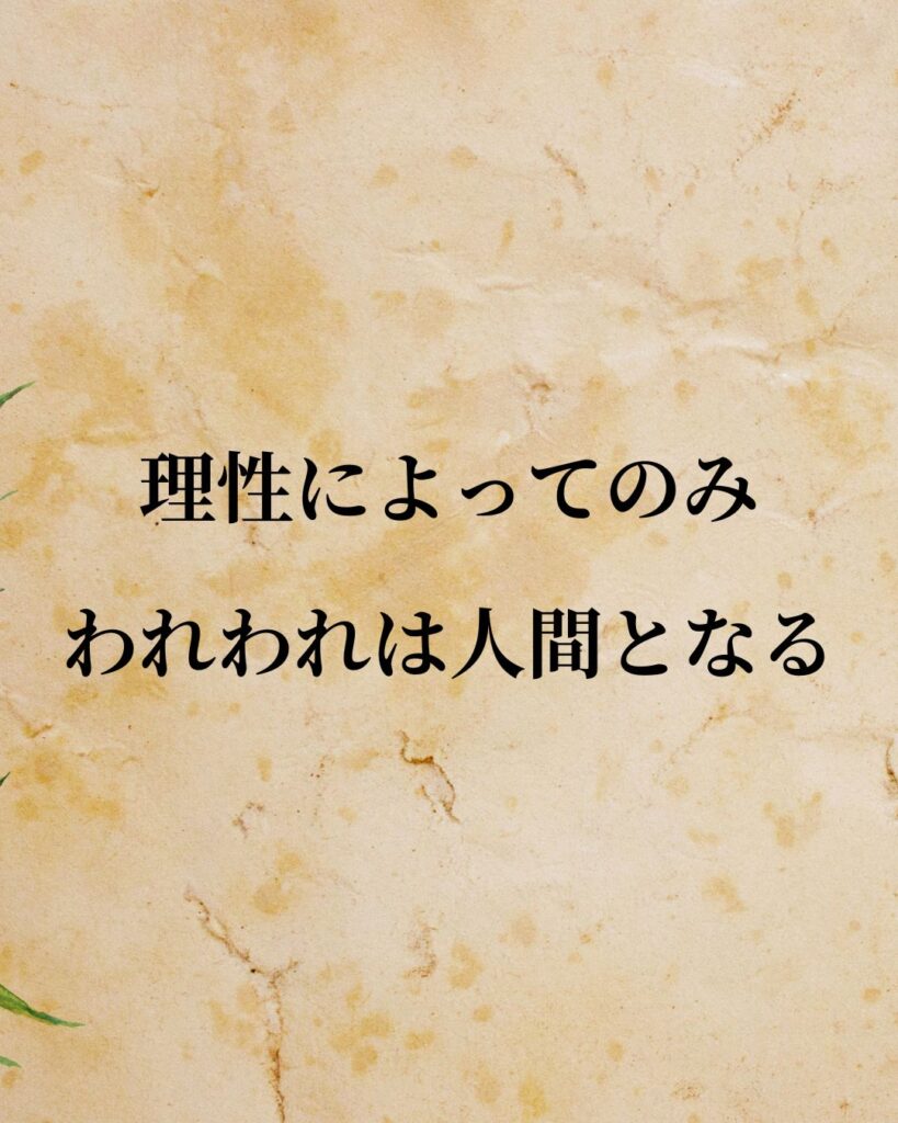 シンプルに役立つ「ルネ・デカルト」の名言９選「理性によってのみわれわれは人間となる。」この名言のイラスト