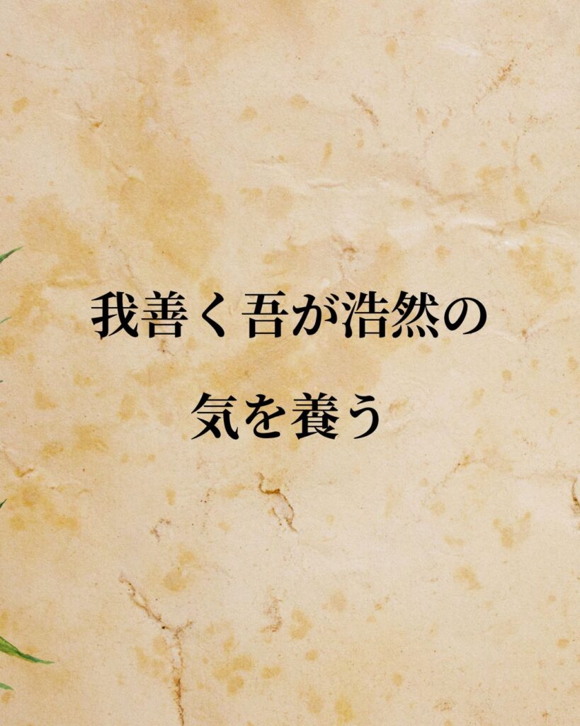 シンプルに役立つ「孟子」の名言９選「我善く吾が浩然の気を養う。」この名言のイラスト