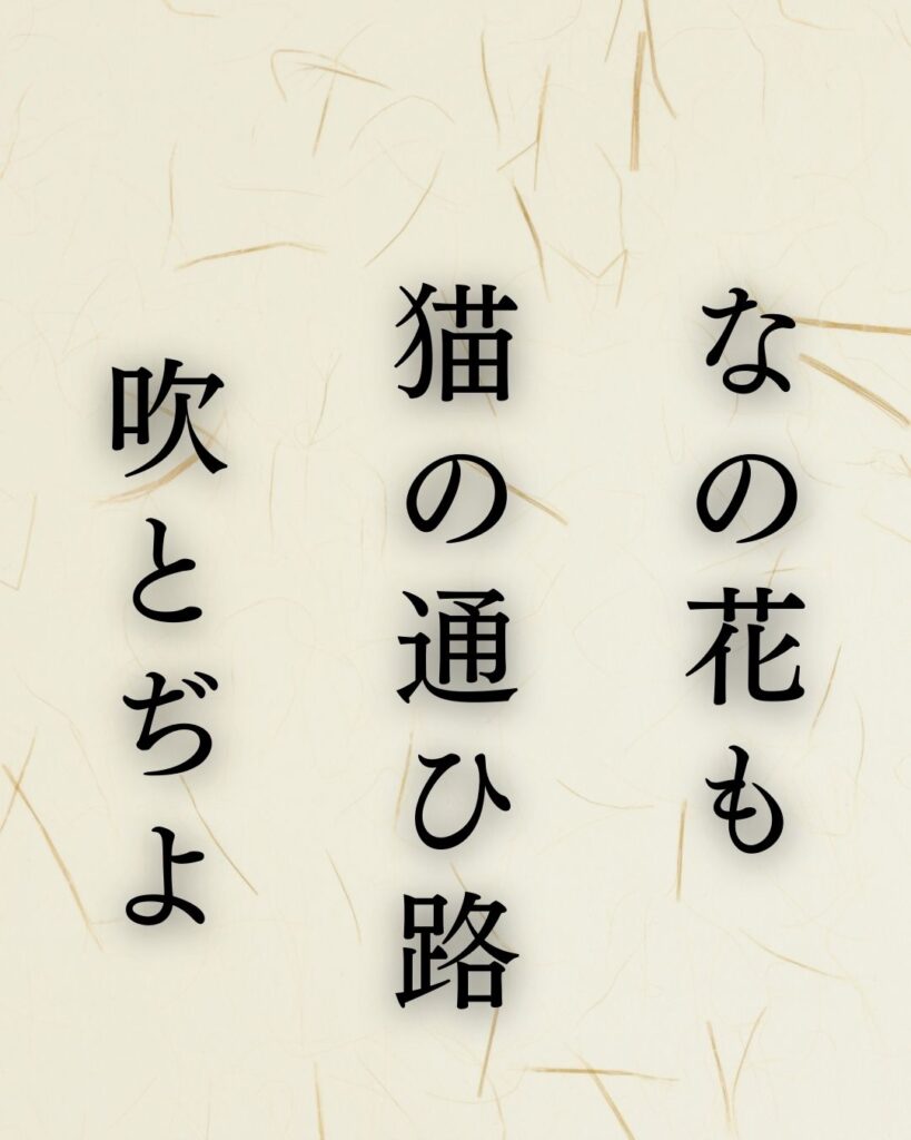 小林一茶の名句「やせ蛙」に迫る！代表作や人物像を徹底解説！「なの花も　猫の通ひ路　吹とぢよ」小林一茶の俳句を記載した画像