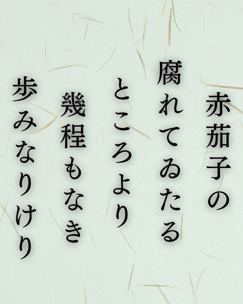 イラストでシンプルに楽しむ斎藤茂吉の有名な短歌5選vol.1「赤茄子の腐れてゐたるところより幾程もなき歩みなりけり」この短歌を記載した画像