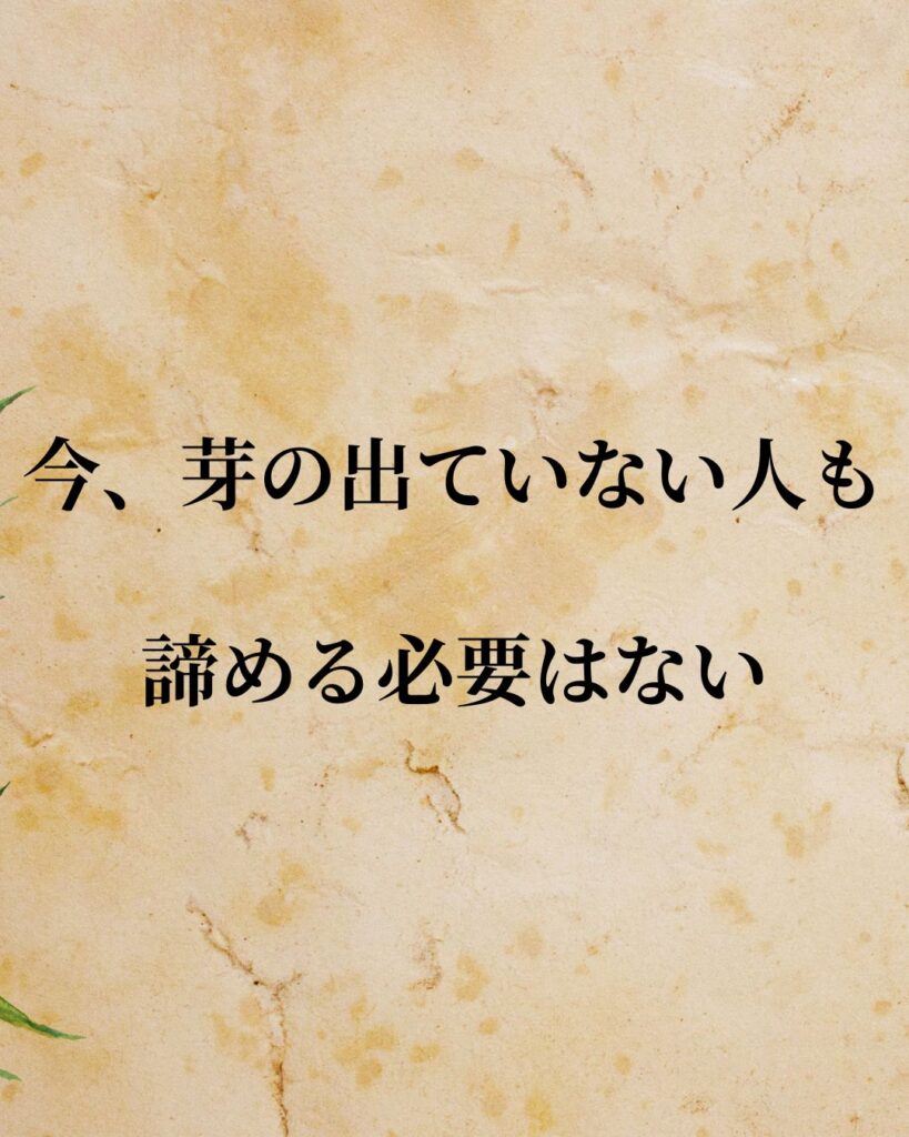 日常生活に活かせる『日本人アスリート』の名言9選「野茂英雄」「今、芽の出ていない人も諦める必要はない。」この名言を記載した画像