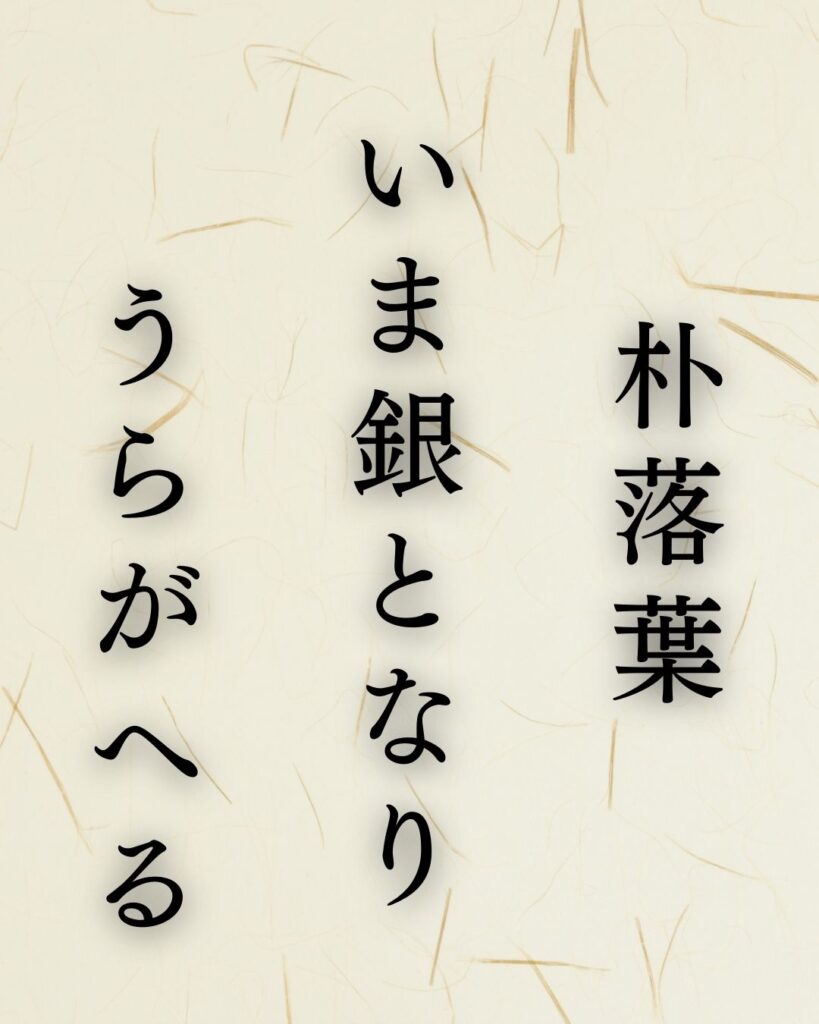 イラストでシンプルに楽しむ「山口青邨」の「冬」の俳句5選「朴落葉　いま銀となり　うらがへる」この俳句を記載した画像