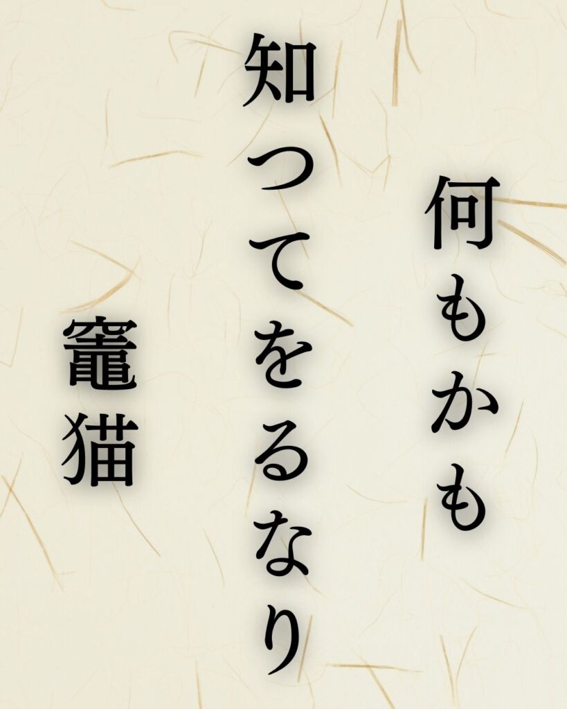 イラストでシンプルに楽しむ「冨安風生」の「冬」の俳句5選「何もかも　知つてをるなり　竈猫」この俳句を記載した画像