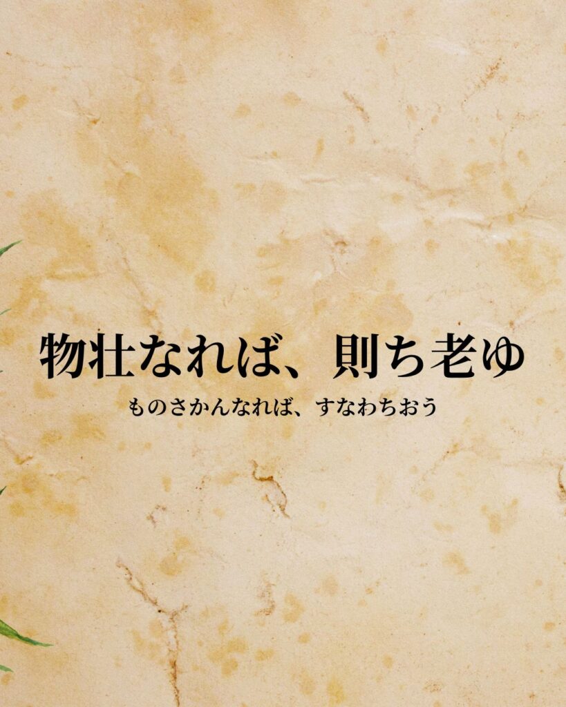 シンプルに役立つ「老子」の名言９選「物壮なれば、則ち老ゆ」この名言のイラスト