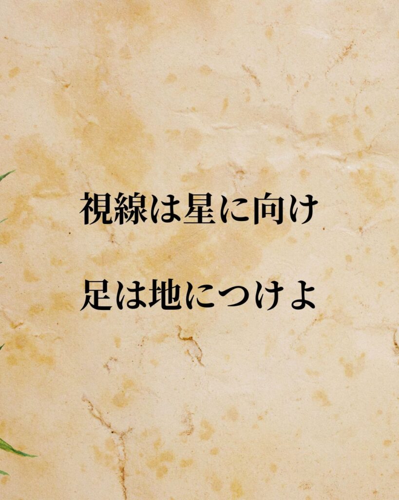 「セオドア・ルーズベルト」「視線は星に向け、足は地につけよ。」この名言を記載した画像