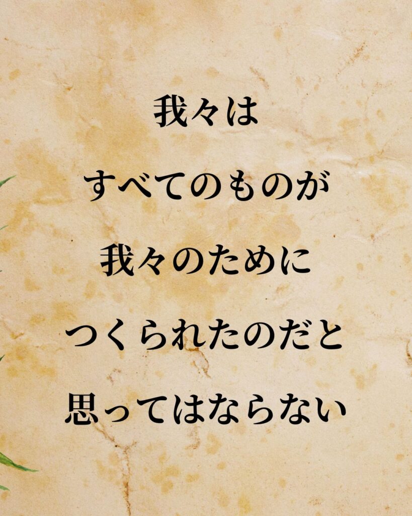 シンプルに役立つ「ルネ・デカルト」の名言９選「我々は、すべてのものが我々のためにつくられたのだと思ってはならない。」この名言のイラスト