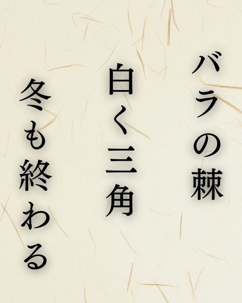 イラストでシンプルに楽しむ「山口青邨」の「冬」の俳句5選「バラの棘　白く三角　冬も終わる」この俳句を記載した画像