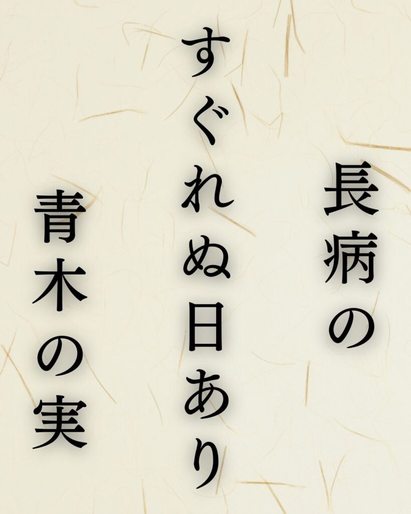 イラストでシンプルに楽しむ「冨安風生」の「冬」の俳句5選「長病の　すぐれぬ日あり　青木の実」この俳句を記載した画像