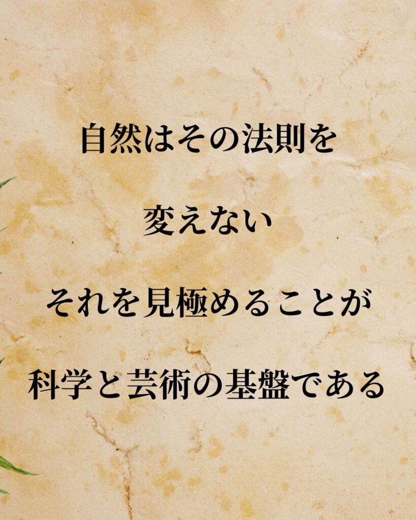 日常生活に活かせる『発明家』の名言9選「レオナルド・ダ・ヴィンチ」「自然はその法則を変えない。それを見極めることが科学と芸術の基盤である。」この名言を記載した画像