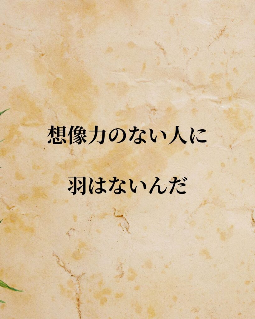 日常生活に活かせる『海外アスリート』の名言9選「モハメド・アリ」「想像力のない人に羽はないんだ。」この名言を記載した画像