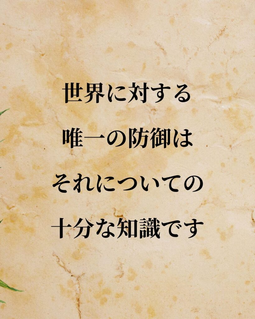 シンプルに役立つ「ジョン・ロック」の名言９選「世界に対する唯一の防御は、それについての十分な知識です。」この名言のイラスト