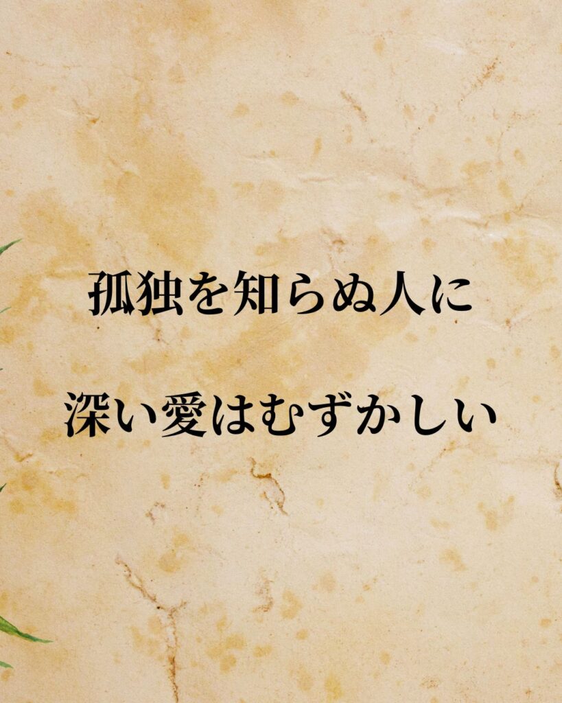 日常生活に活かせる『日本人作家』の名言9選「瀬戸内寂聴」「孤独を知らぬ人に、深い愛はむずかしい。」この名言を記載した画像