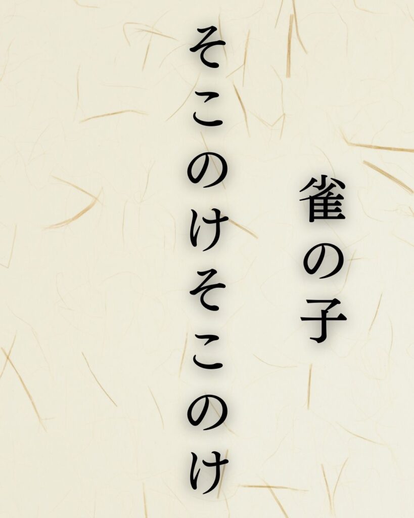 小林一茶の代表作「雀の子」に迫る！名句や人物像を徹底解説！「雀の子　そこのけそこのけ　お馬が通る」小林一茶の俳句を記載した画像