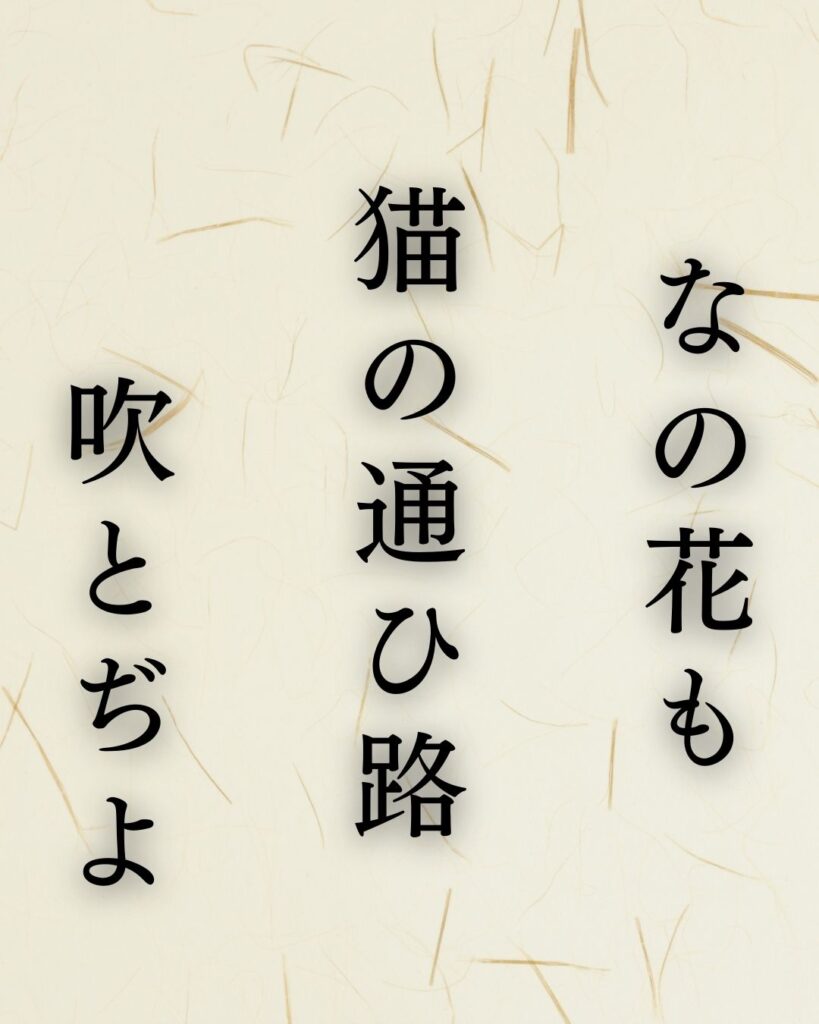 小林一茶の春の俳句5選-代表作をわかりやすく解説！「なの花も　猫の通ひ路　吹とぢよ」この俳句を記載した画像