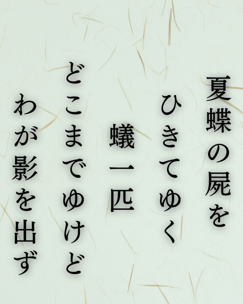 イラストでシンプルに楽しむ寺山修司の有名な短歌5選vol.2「夏蝶の屍をひきてゆく蟻一匹どこまでゆけどわが影を出ず」この短歌を記載した画像