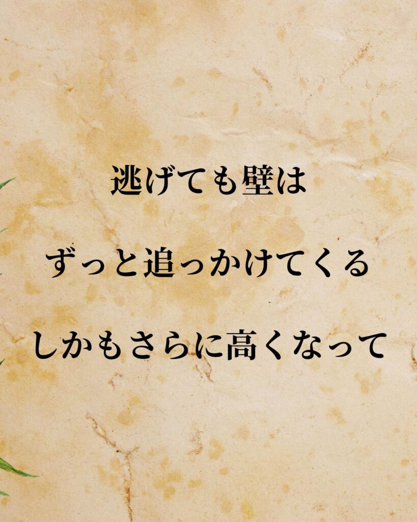 「白石 康次郎」「逃げても壁はずっと追っかけてくる。しかもさらに高くなって。」この名言を記載した画像