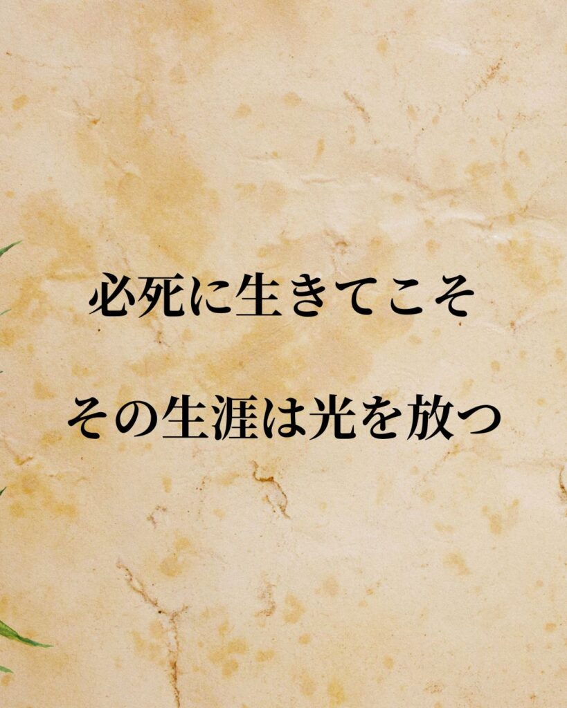 「織田信長」「必死に生きてこそ、その生涯は光を放つ」この名言を記載した画像