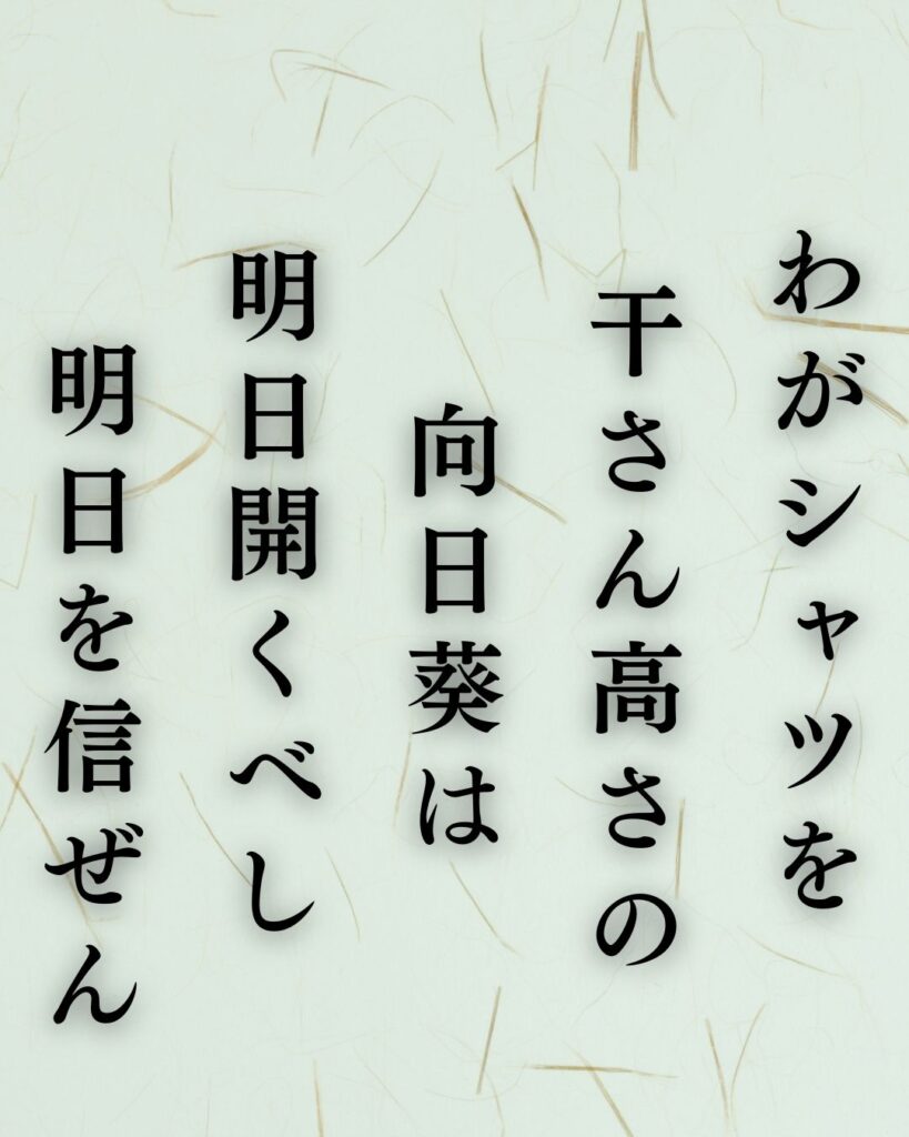 イラストでシンプルに楽しむ寺山修司の有名な短歌5選vol.2「わがシャツを干さん高さの向日葵は明日開くべし明日を信ぜん」この短歌を記載した画像