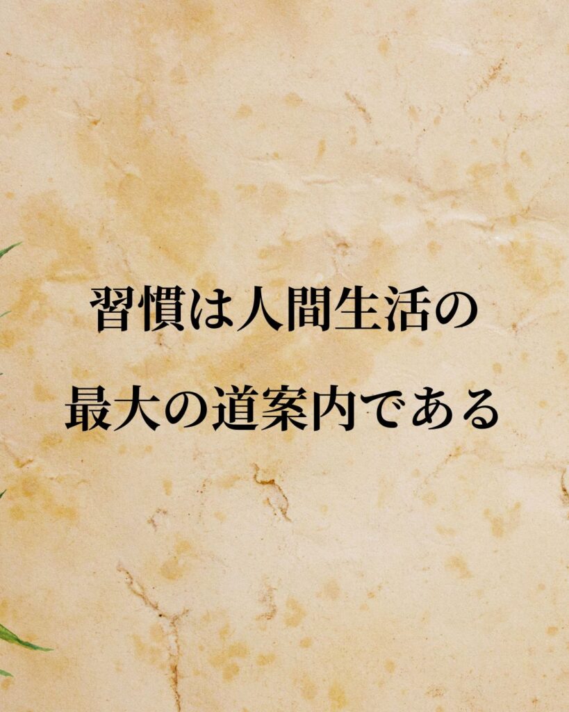 シンプルに役立つ「デイヴィッド・ヒューム」の名言９選「習慣は人間生活の最大の道案内である」この名言のイラスト