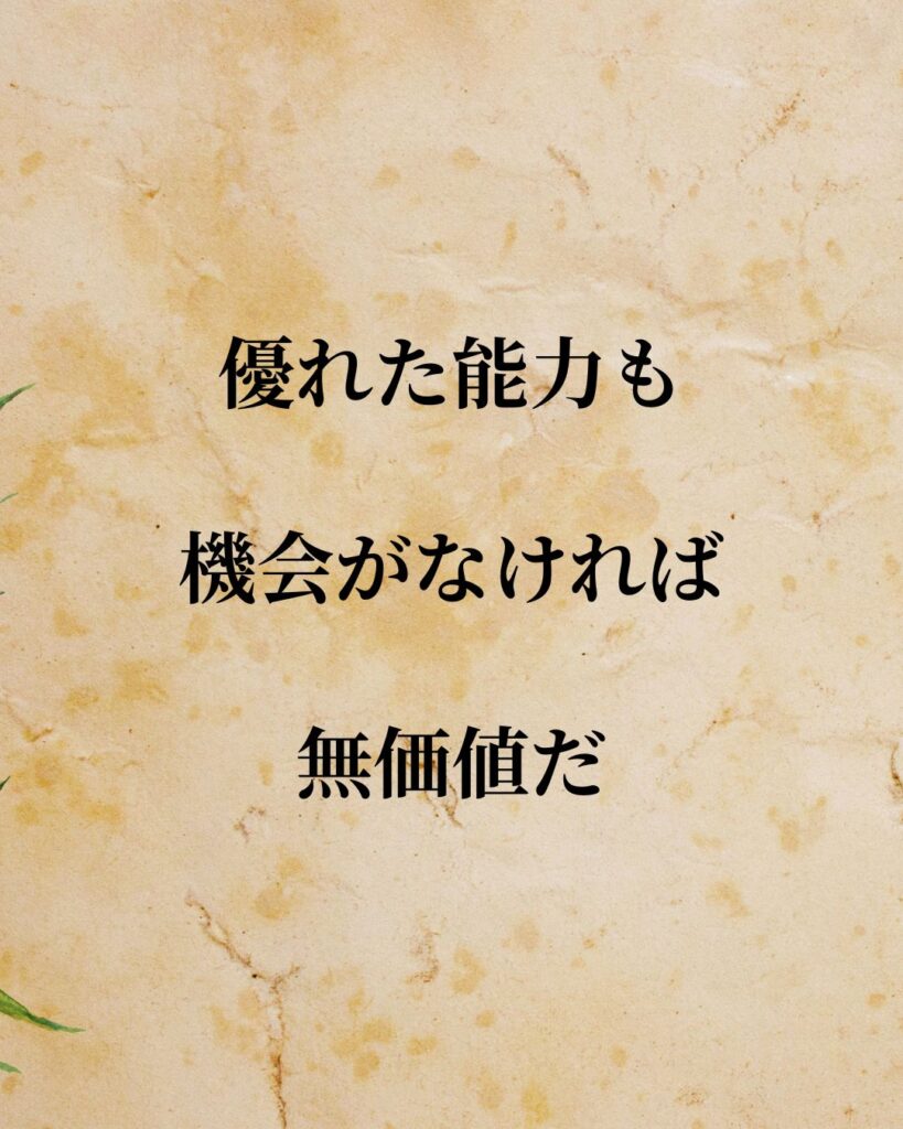 「ナポレオン」「優れた能力も、機会がなければ無価値だ。」この名言を記載した画像