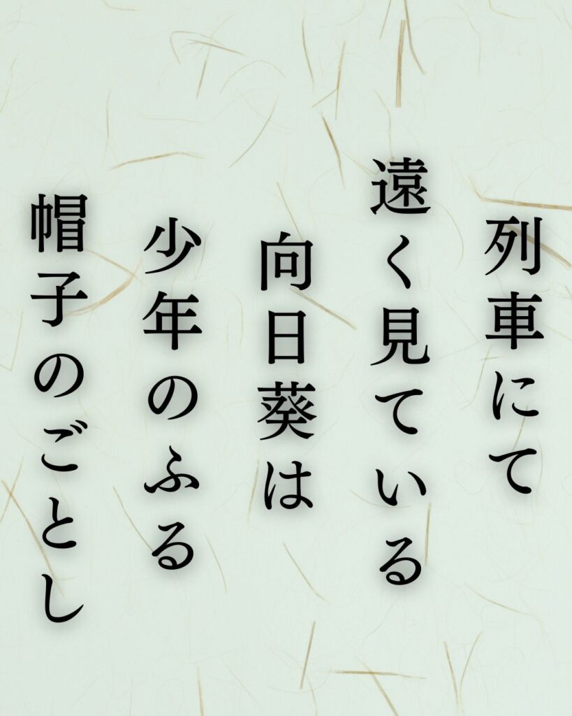 イラストでシンプルに楽しむ寺山修司の有名な短歌5選vol.2「列車にて遠く見ている向日葵は少年のふる帽子のごとし」この短歌を記載した画像