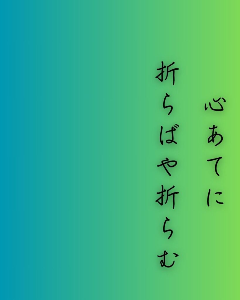 百人一首第二十九番 凡河内躬恒『心あてに』を情景と背景から完全解説「心あてに　折らばや折らむ　初霜の　置きまどはせる　白菊の花」の情景をテーマにした和歌の画像