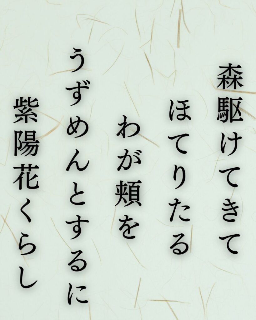 イラストでシンプルに楽しむ寺山修司の有名な短歌5選vol.2「森駆けてきてほてりたるわが頬をうずめんとするに紫陽花くらし」この短歌を記載した画像