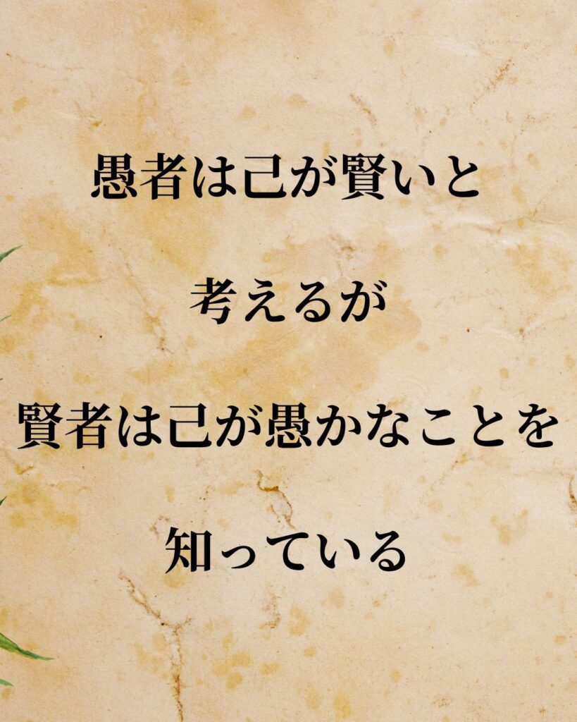 日常生活に活かせる『海外の作家』の名言9選「ウィリアム・シェイクスピア」「愚者は己が賢いと考えるが、賢者は己が愚かなことを知っている」この名言を記載した画像