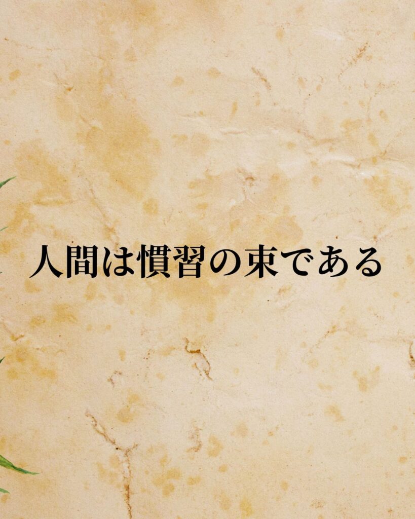 シンプルに役立つ「デイヴィッド・ヒューム」の名言９選「人間は慣習の束である。」この名言のイラスト