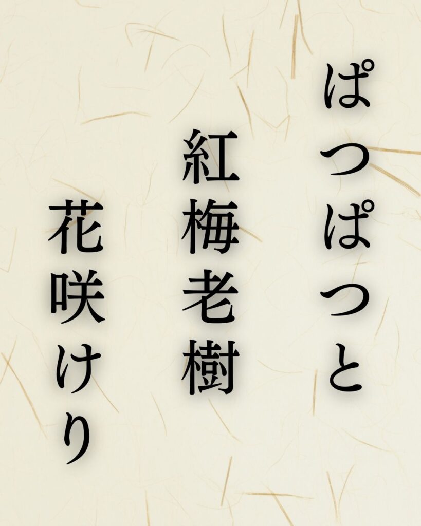 飯田蛇笏の春の俳句5選-代表作をわかりやすく解説！「ぱつぱつと　紅梅老樹　花咲けり」この俳句を記載した画像